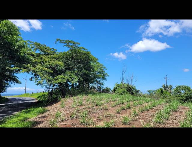134HA FARM FOR SALE IN BALLITO RURAL